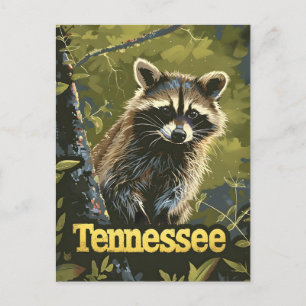 Cartão Postal Tennessee Raccoon