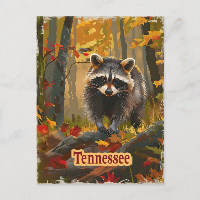 Cartão Postal Tennessee Raccoon (Frente)