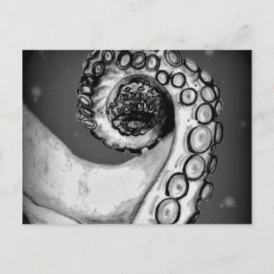 Cartão Postal Tentáculo de Octopus Náutico Branco e Preto Vint