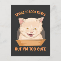 Tentando parecer feroz, mas sou fofo demais