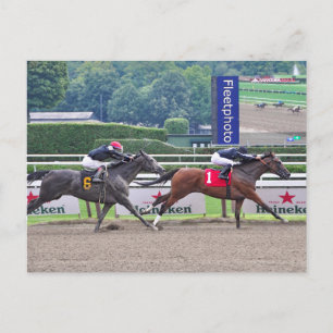 Cartão Postal Teofilia batendo em Carrumba