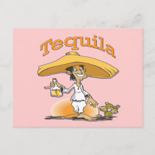 Cartão Postal Tequila Cactus Mexicano Sombrero