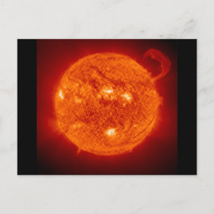 Cartão Postal Terra2 Sun Star Bumpersticker