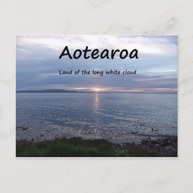 Cartão Postal Terra de Aotearoa da Nuvem Branca Longa (Frente)
