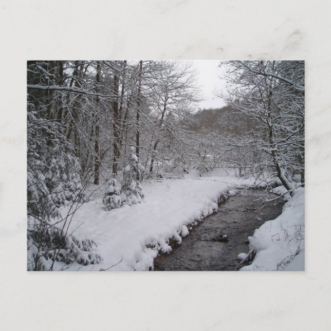 Cartão Postal Terra maravilhosa do inverno (Frente)