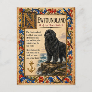 Cartão Postal Terra Nova, Arte Medieval de Bestiário