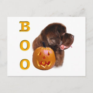 Cartão Postal Terra Nova (Brn) Halloween Boo