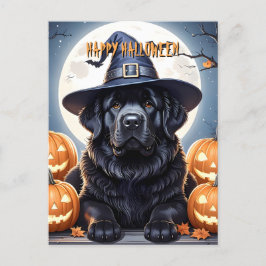 Cartão Postal Terra Nova Halloween