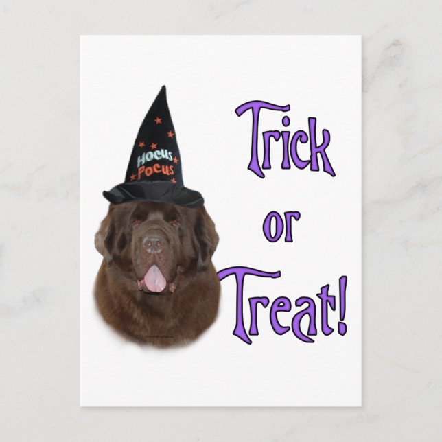 Cartão Postal Terra Nova (marrom) Truque (Frente)