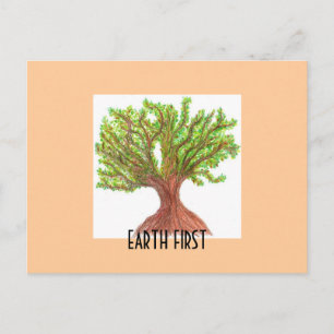 Cartão Postal Terra Primeiro