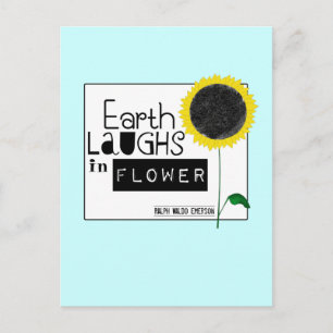Cartão Postal Terra ri na Flor