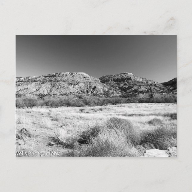 Cartão Postal Terra robusta (Frente)