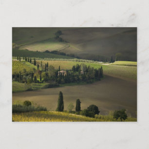 Cartão Postal Terra rural em torno de Montepulciano, Toscana, It
