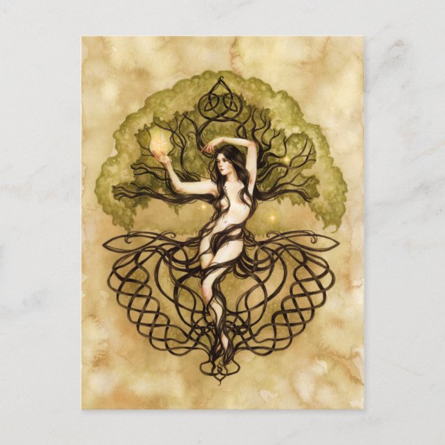 Cartão Postal Terra Vida Magia (Frente)