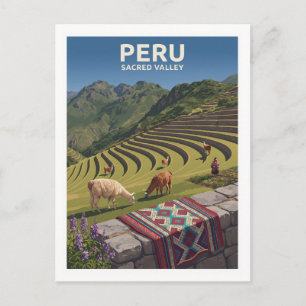Cartão Postal Terraços Andinos Tradicionais e Lhamas Pisac Peru