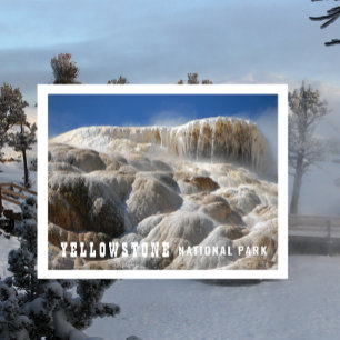 Cartão Postal Terraços de Travertino Mammoth Hot Springs