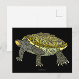 Cartão Postal Terrapin (black) - Postcard