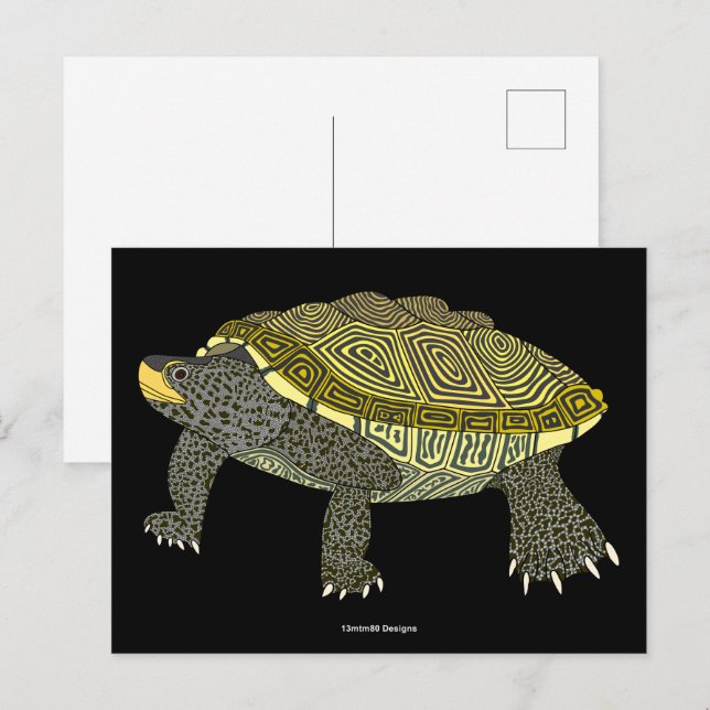 Cartão Postal Terrapin (black) - Postcard (Frente/Verso)