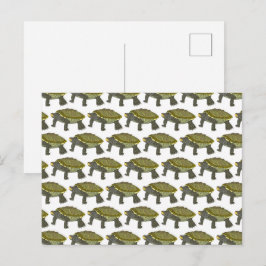 Cartão Postal Terrapin (pattern white) - Postcard