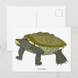 Cartão Postal Terrapin (white) - Postcard