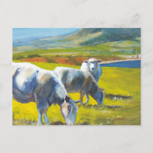 Cartão Postal Terras