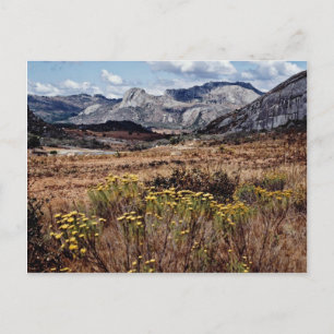 Cartão Postal Terras altas orientais, flores do Zimbábue