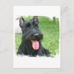 Cartão postal Terrier