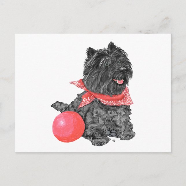 Cartão Postal Terrier Black Cairn com Bola (Frente)