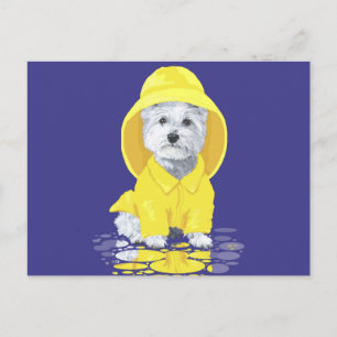 Cartão Postal Terrier Branco do West Highland April Showers