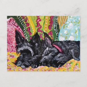 Cartão Postal Terrier Cottage escocês