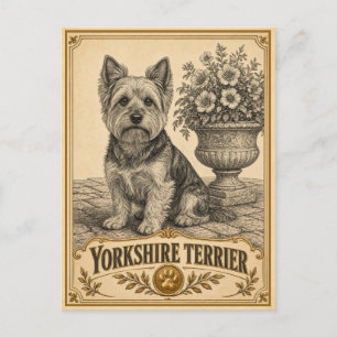 Cartão Postal Terrier de Yorkshire, Cão de Herança Vintage