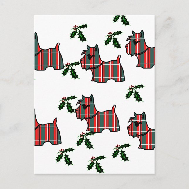 CARTÃO POSTAL TERRIER ESCOCÊS (Frente)