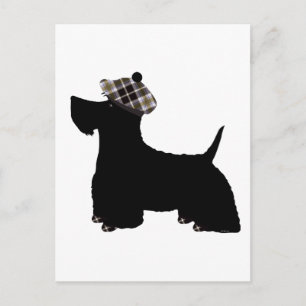 Cartão Postal Terrier Escocês