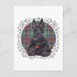Cartão Postal Terrier Escocês em Tartan