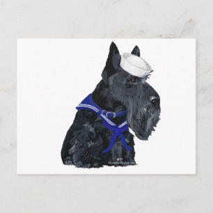 Cartão Postal Terrier Escocês Marinheiro