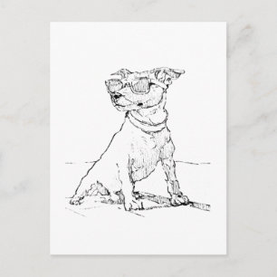 Cartão Postal Terrier Jack Russell