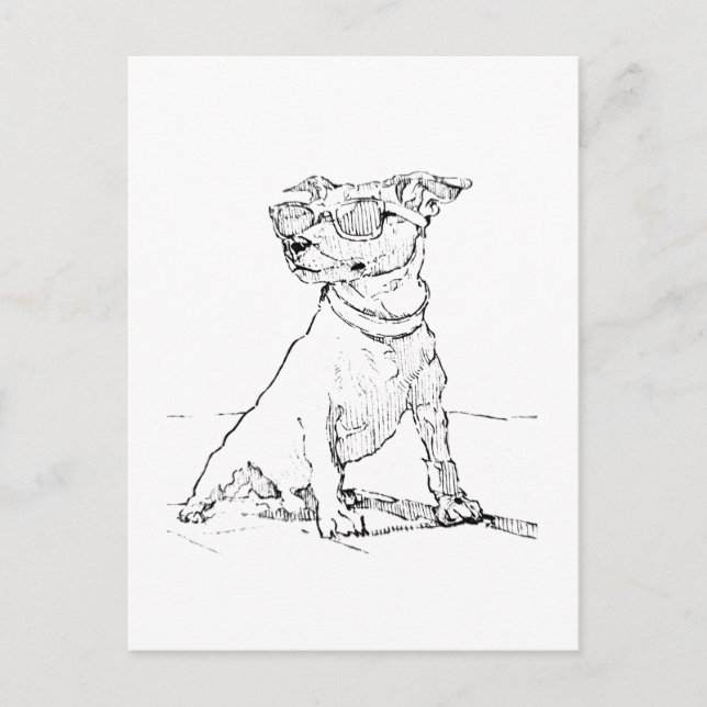 Cartão Postal Terrier Jack Russell (Frente)