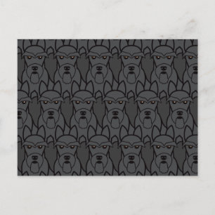 Cartão Postal Terriers escoceses