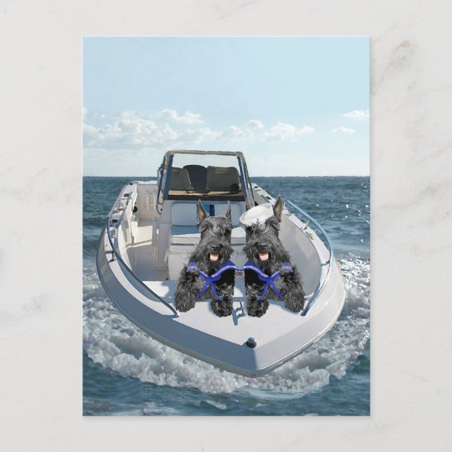 Cartão Postal Terriers escoceses no barco (Frente)