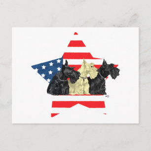 Cartão Postal Terriers Escoceses Patrióticos na Estrela