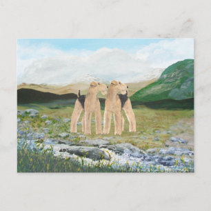 Cartão Postal Terriers na Irlanda