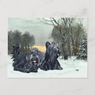 Cartão Postal Terriers Skye Pôr do Sol Nevado