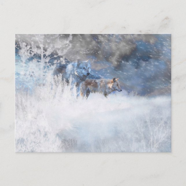 CARTÃO POSTAL TERRITÓRIOS WOLF WINTER (Frente)