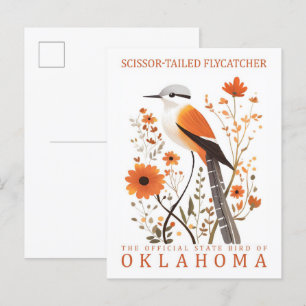 Cartão Postal Tesoura Tailed Flycatcher Bird de Oklahoma