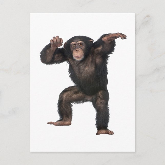 CARTÃO POSTAL TEVE ESSA SENSAÇÃO (Frente)