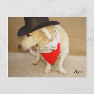 Cartão Postal Texan Myrtie Postcard