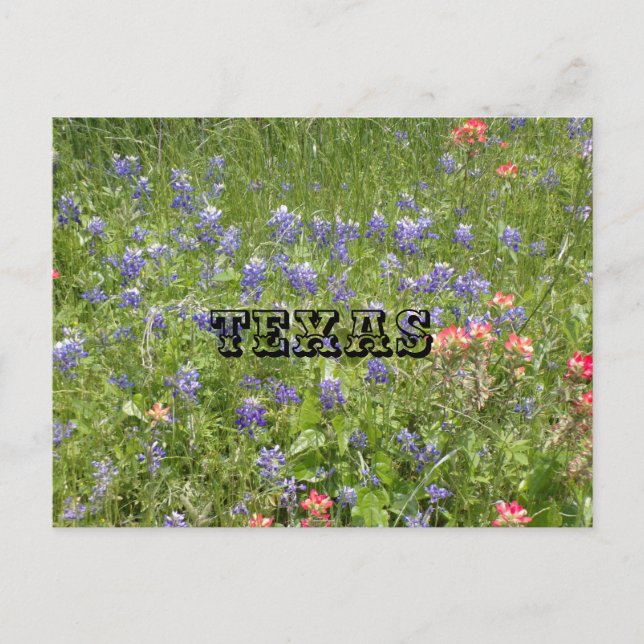 Cartão postal TEXAS (Frente)