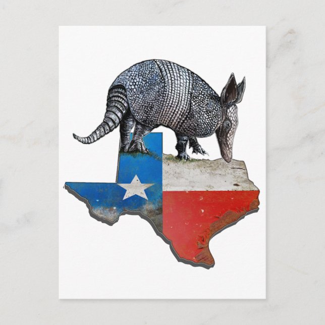 Cartão Postal Texas Armadillo (Frente)