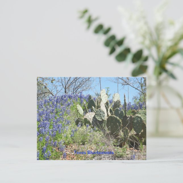 Cartão Postal Texas Bluebonnets e Cactus no Campo (Em pé/Frente)