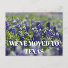 Cartão Postal Texas Bluebonnets Flor Azul Floral Silvestre